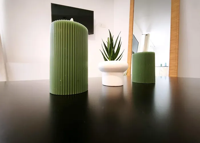 La Parenthese Kaki Apartment Clermont-Ferrand